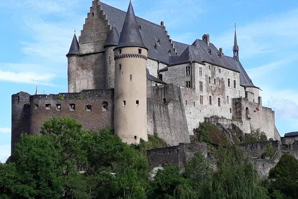 The Vianden Cottage - Charming Cottage In The Forest 外观 照片