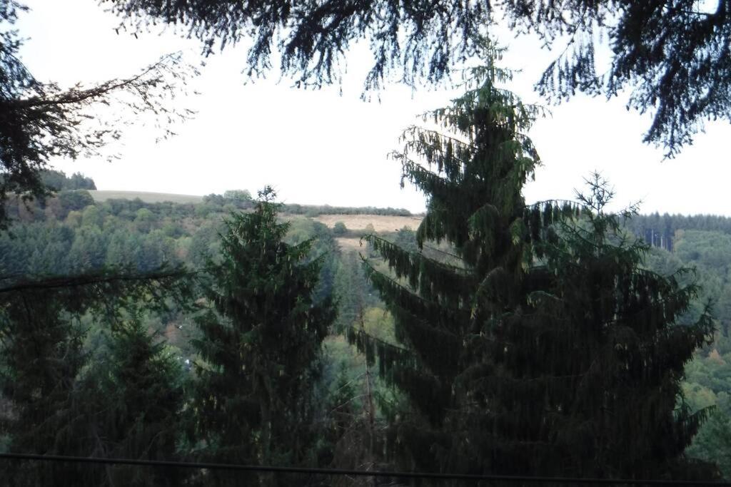 The Vianden Cottage - Charming Cottage In The Forest 外观 照片