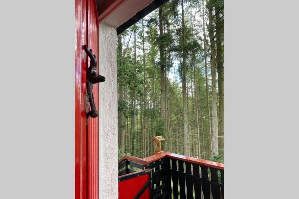 The Vianden Cottage - Charming Cottage In The Forest 外观 照片